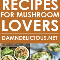 10 Best Mushroom Recipes for Mushroom Lovers